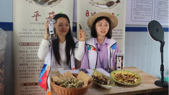 Betway必威西汉姆联官方网站